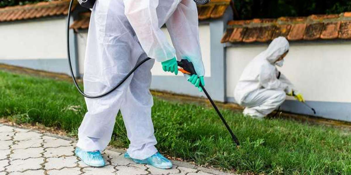 How Much Does Pest Control Prices in Canada