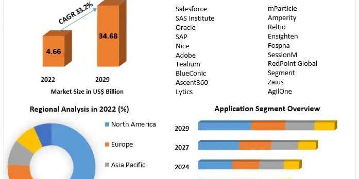 Customer Data Platform Market In-Depth Analysis of Key Players from 2023-2029