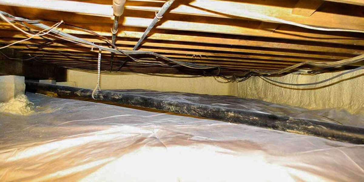Guarding Your Crawl Space: The Role of Spray Foam Insulation in Pest Control for Richmond Homes