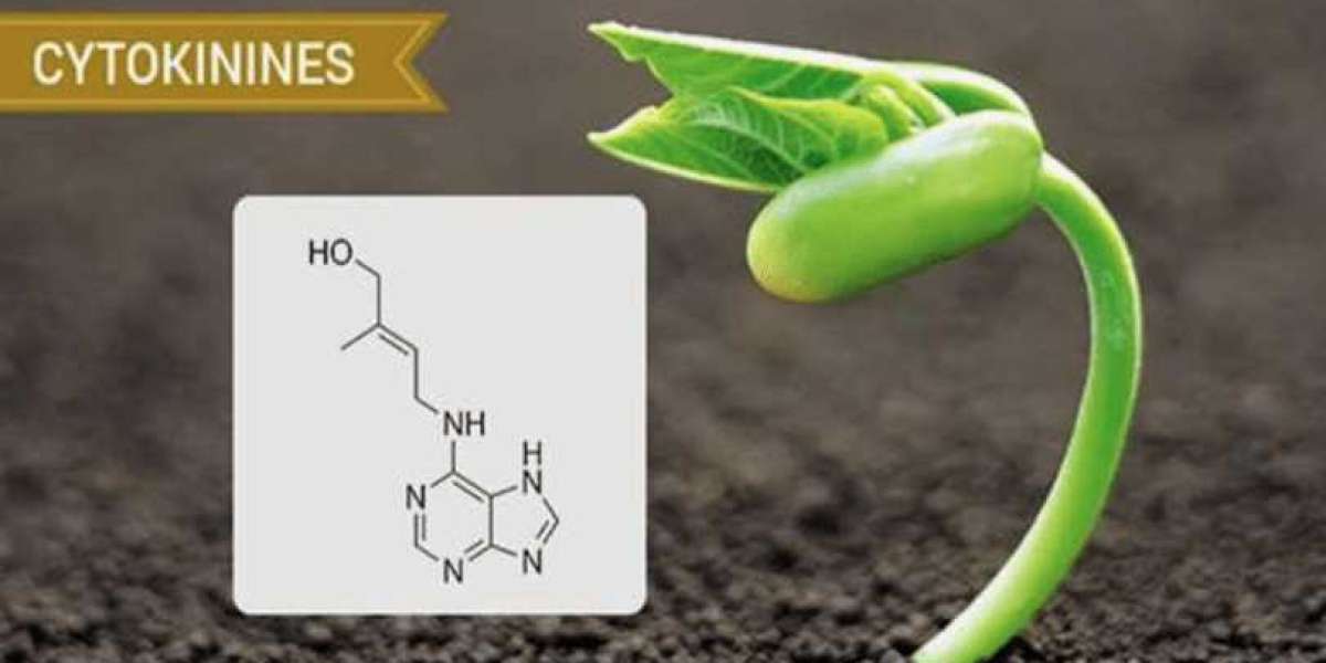 Cytokinins Market Leading Growth Drivers, Sales, Profits & Analysis Forecast 2031