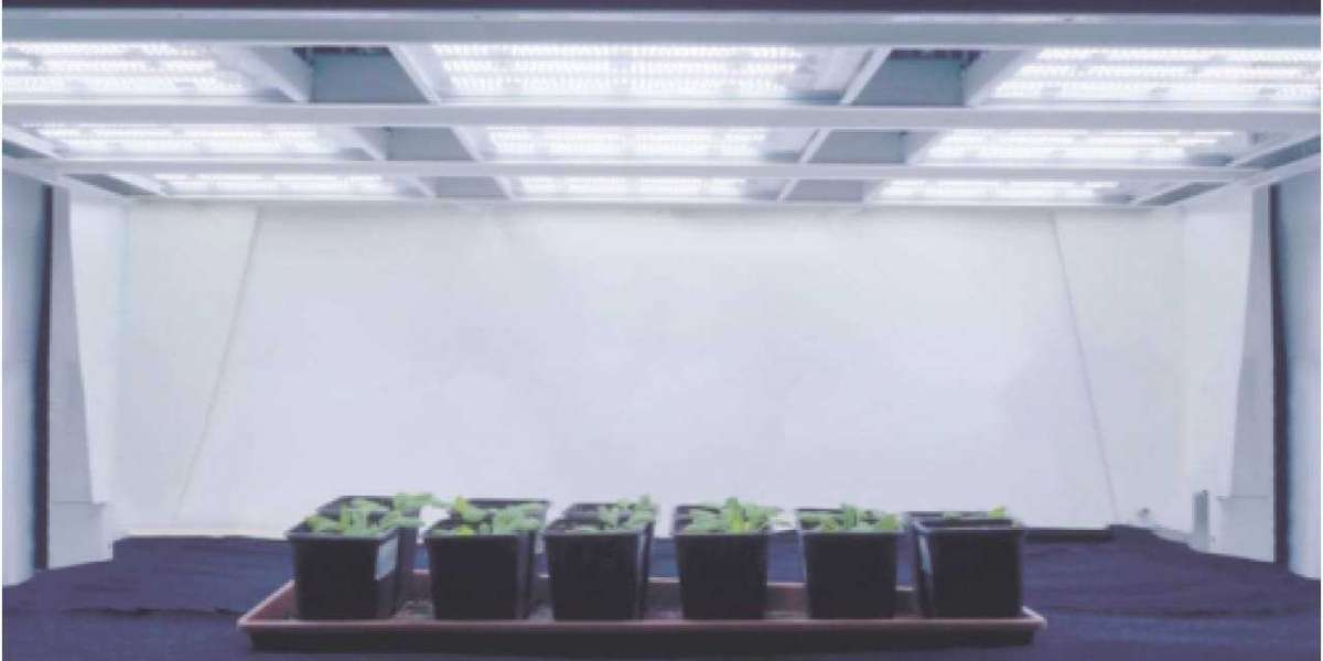 The Power of Far-Red LED Grow Lights For Boosting Indoor Farming