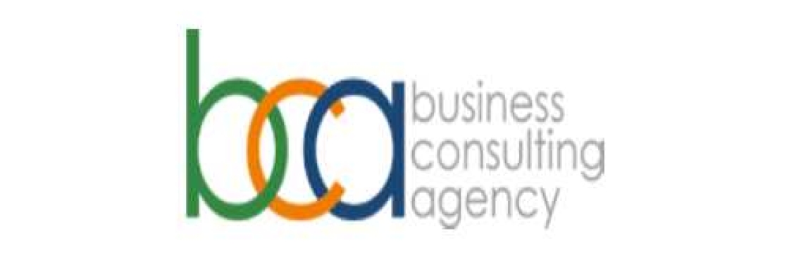 Business Consulting Agency Cover Image