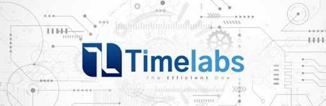 Timelabs Cover Image