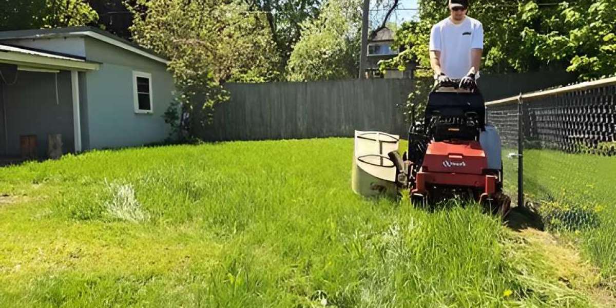 Comprehensive Guide to Lawn Care in Atlanta