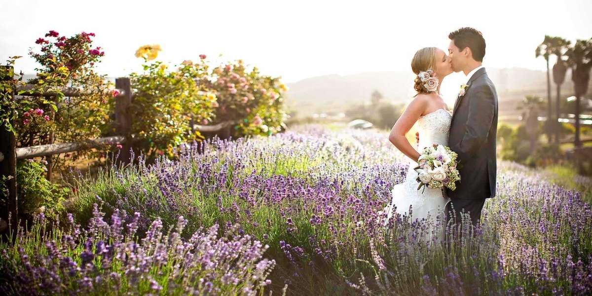 How to Coordinate with Your Wedding Photographer for a Seamless Experience