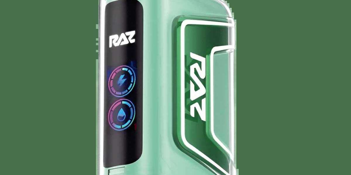 Miami Mint RAZ Vape TN9000