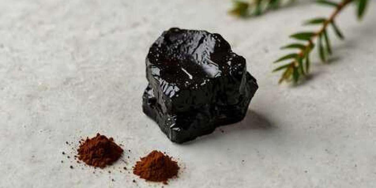 Pure Shilajit Elevate Your Wellness with Nature’s Powerful Resin