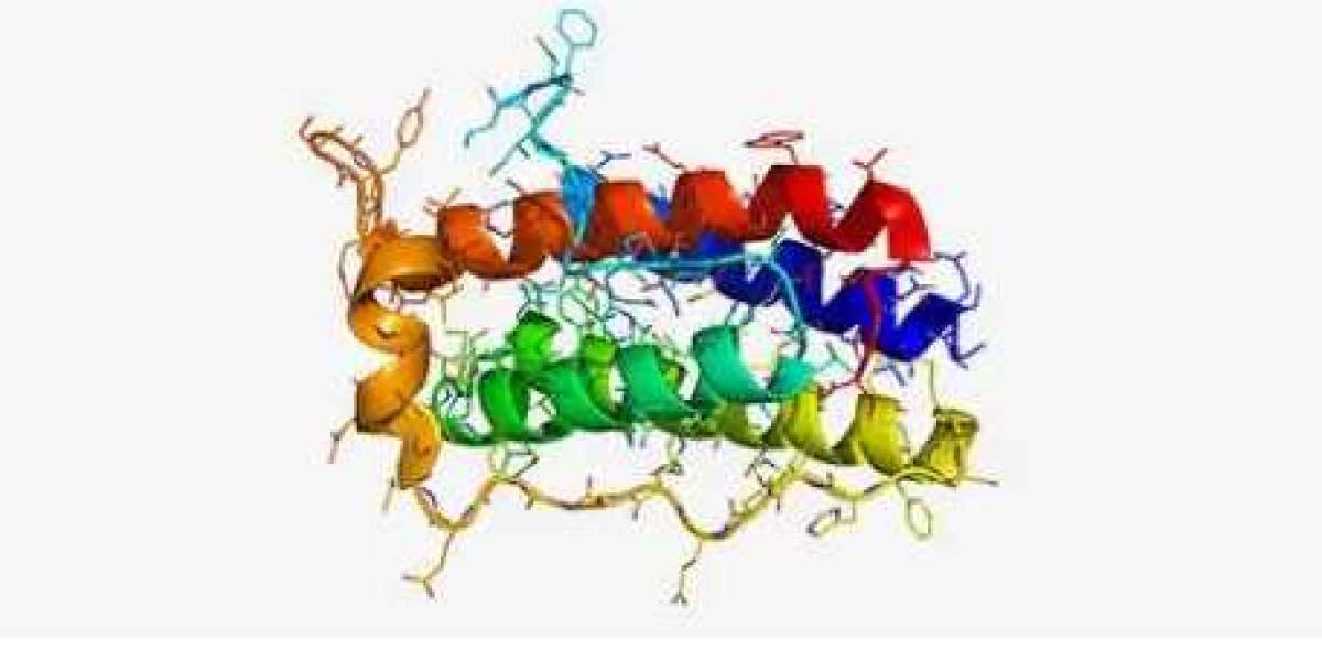 In Silico Protein Structure Service: Unlocking the Secrets of Protein Folding