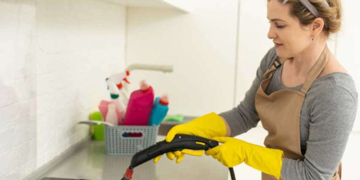 Rentable Steam Cleaners for Upholstery Cleaning in The Hague