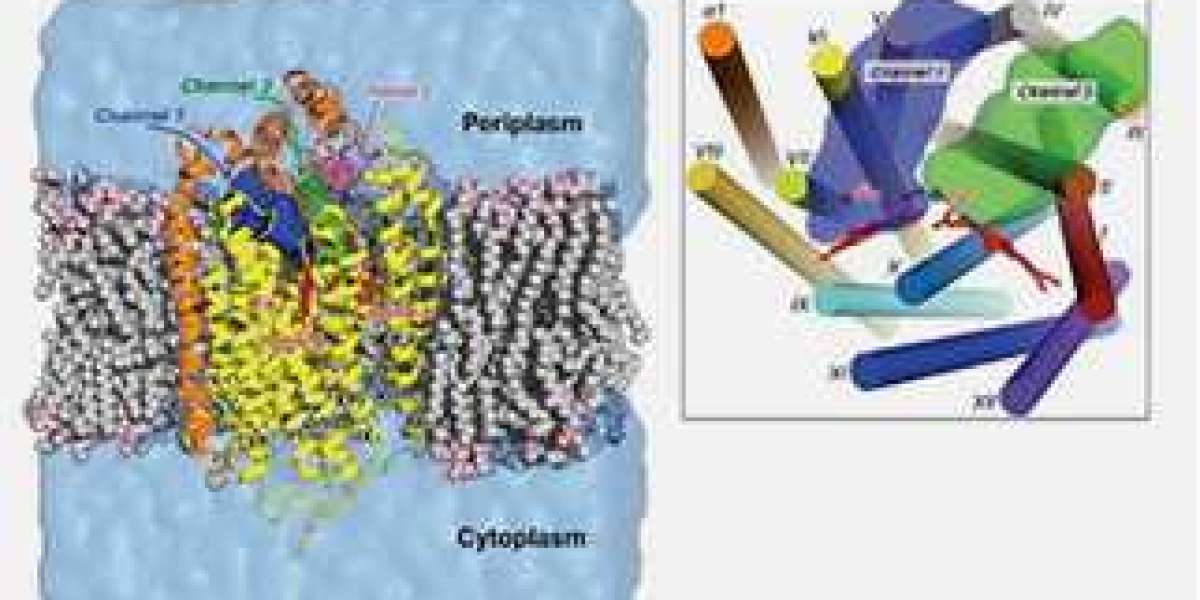 Antibody Drug Design: A Breakthrough in Targeted Therapy