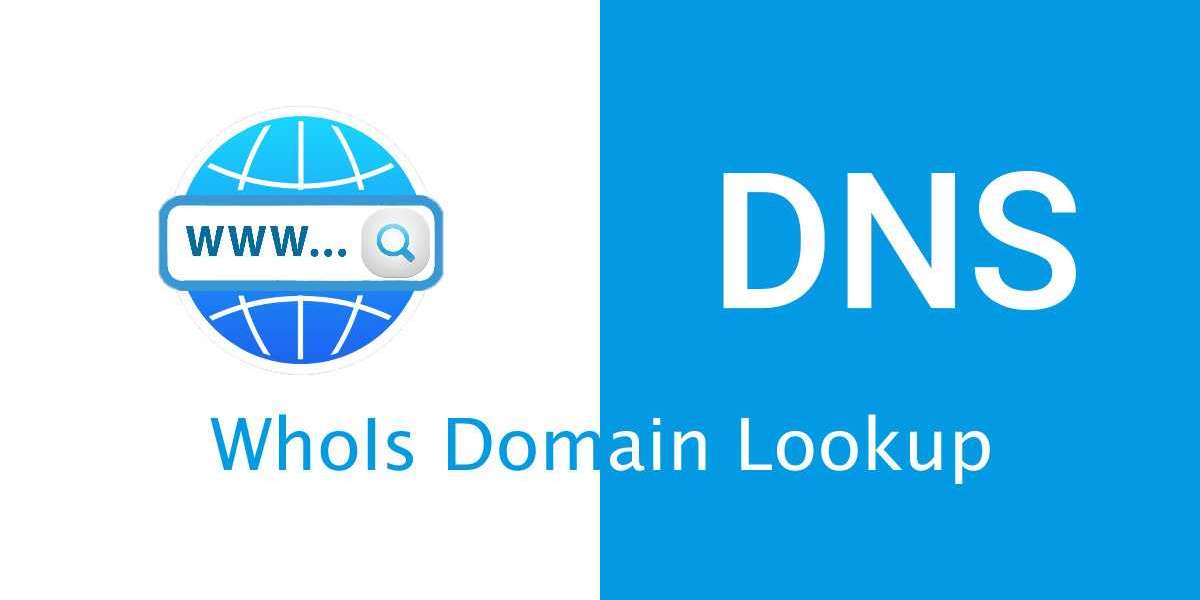 Understanding Who is Domain Lookup: A Comprehensive Guide for Digital Professionals