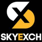 Sky Exchange Profile Picture