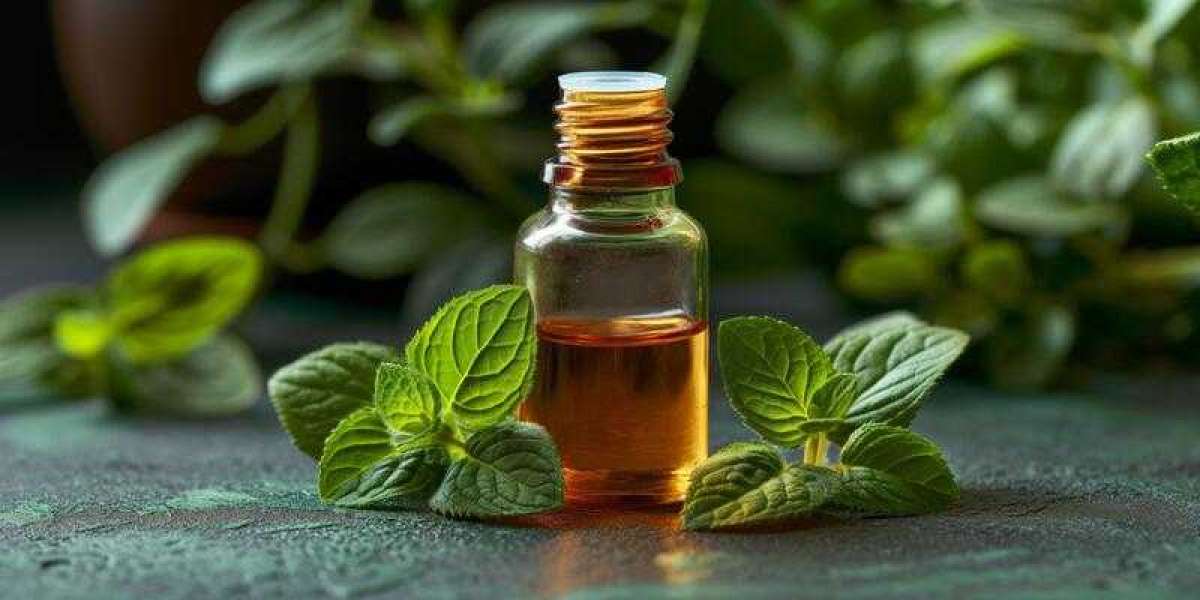 Why Transparency Matters: Ethical Practices of Peppermint Oil Manufacturers