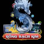 Rồng Bạch Kim Me Profile Picture