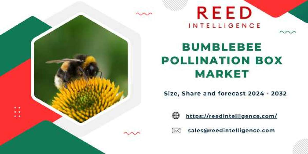 Bumblebee Pollination Box Market Size, Share and Trends by Forecast 2024-2032 | Reed Intelligence