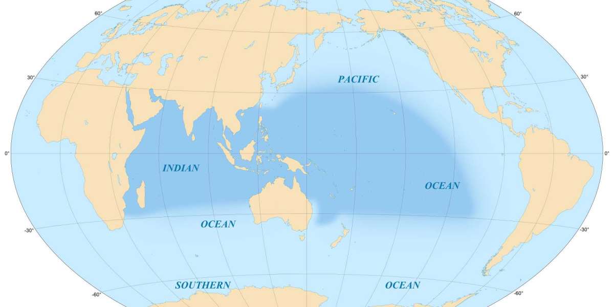 India’s Role in the Indo-Pacific Delhi Policy Group