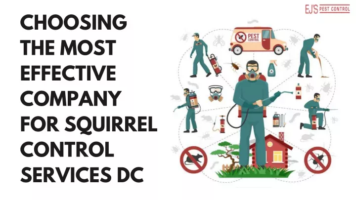 Choosing The Most Effective Company For Squirrel Control Services DC