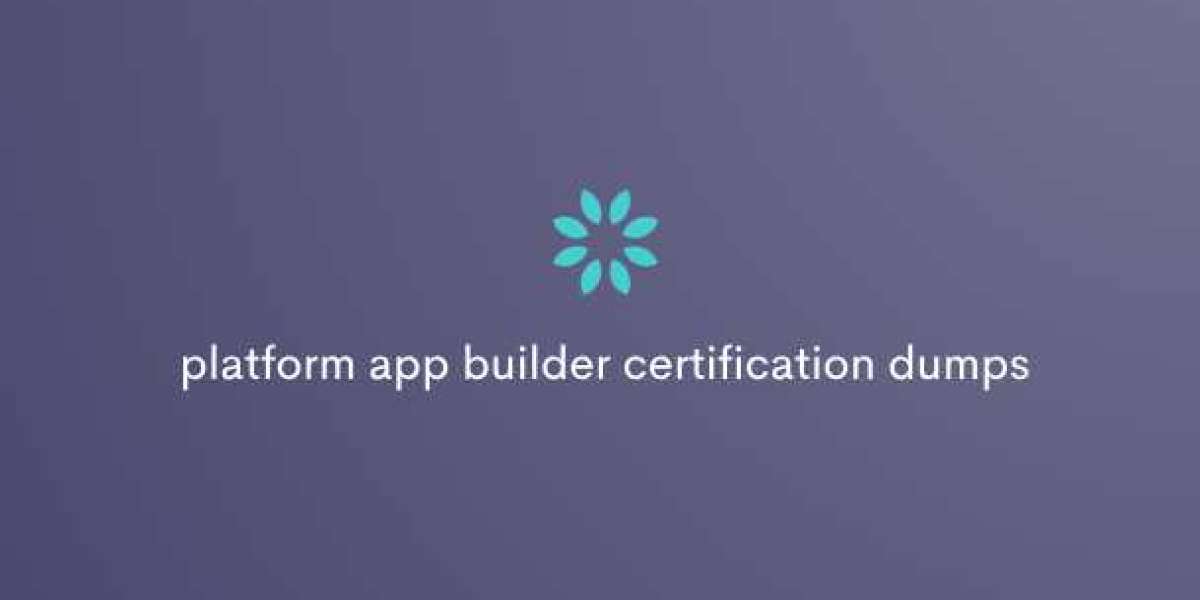 The Ultimate Salesforce Platform App Builder Dumps Collection