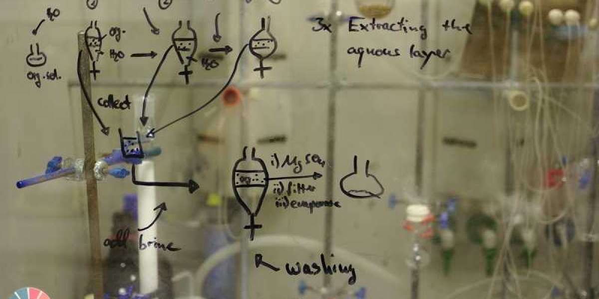 Lifeasible Leads the Way in Fungal Genomics with New Service Enhancements