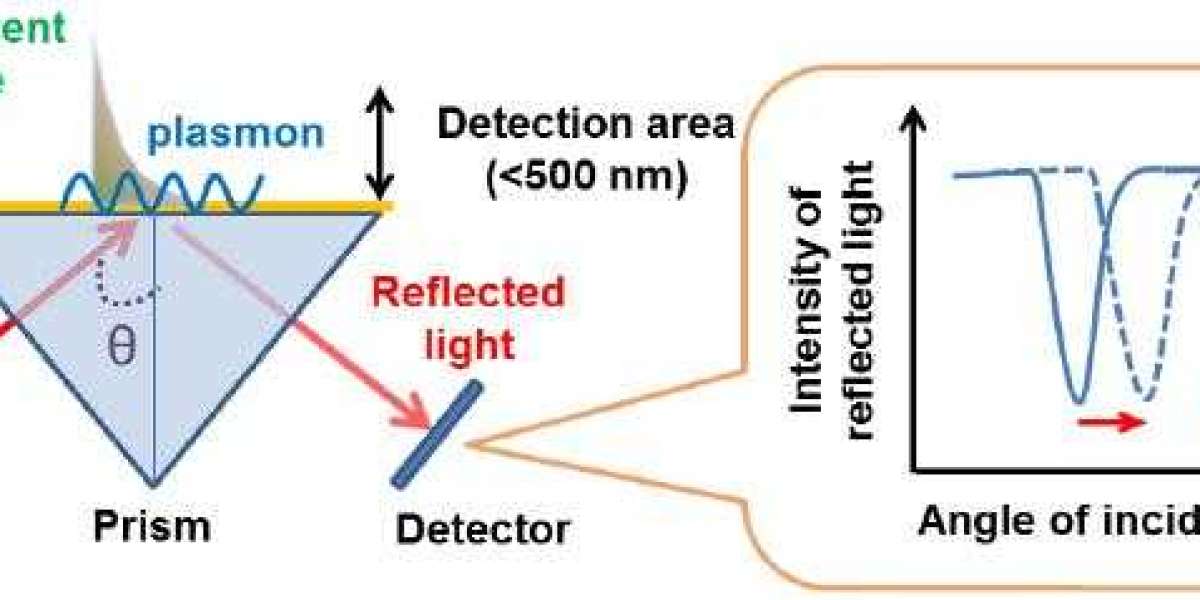 Surface Plasmon Resonance (SPR)