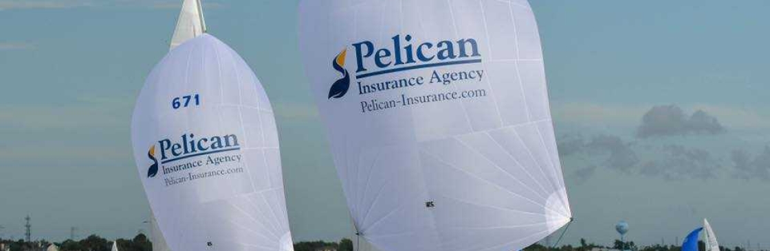 Pelican Insurance Cover Image