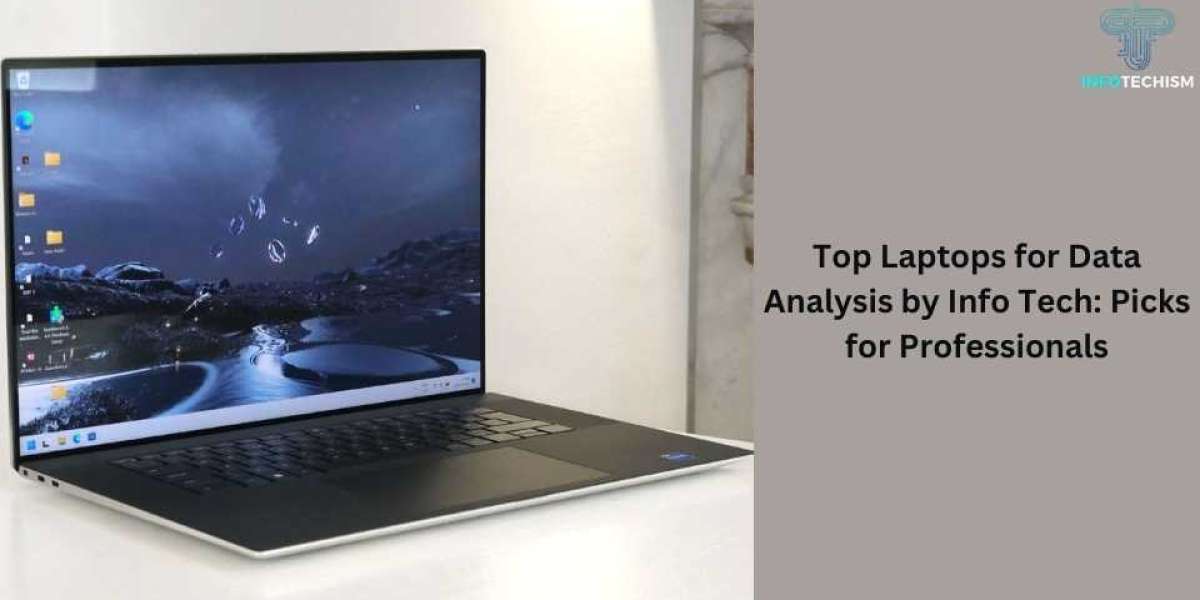 Top Laptops for Data Analysis by Info Tech: Picks for Professionals