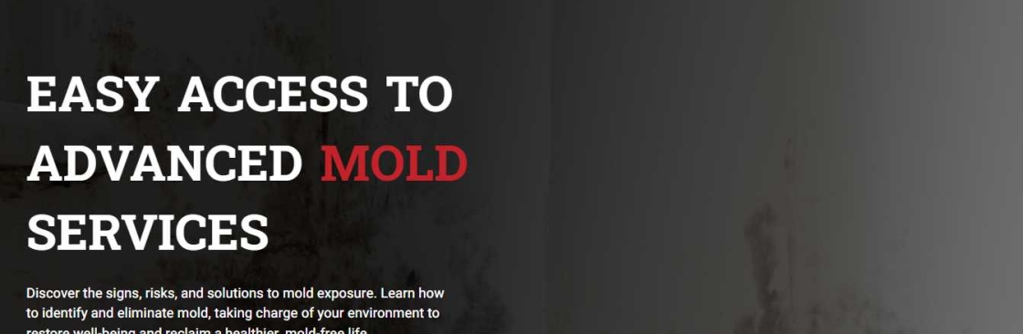 Dangers Of Mold Cover Image